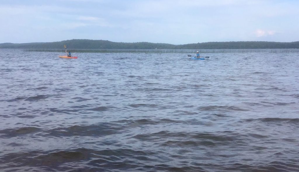 This image has an empty alt attribute; its file name is Kayaking2020-1024x589.jpg